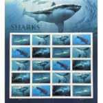 Sharks 2017 3 - Buy Postage Stamps Online 2 2 1fc9443e f189 4f1c 989e e35e4eed2c99 2 - Buy Postage Stamps Online