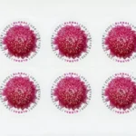 Global Chrysanthemum 2020 3 - Buy Postage Stamps Online 2020G1 - Buy Postage Stamps Online