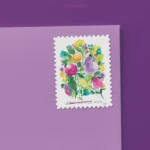 613AYcTfC L - Buy Postage Stamps Online