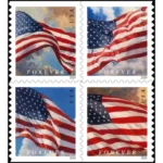 Flag 2024 Booklet