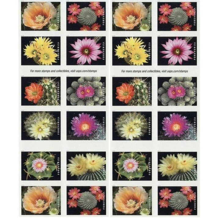 CactusFlowers2019-2-_2 CactusFlowers2019 2 2 - Buy Postage Stamps Online