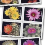 Cactus Flowers 2019 2 - Buy Postage Stamps Online Cactus Flowers 2019 - Buy Postage Stamps Online