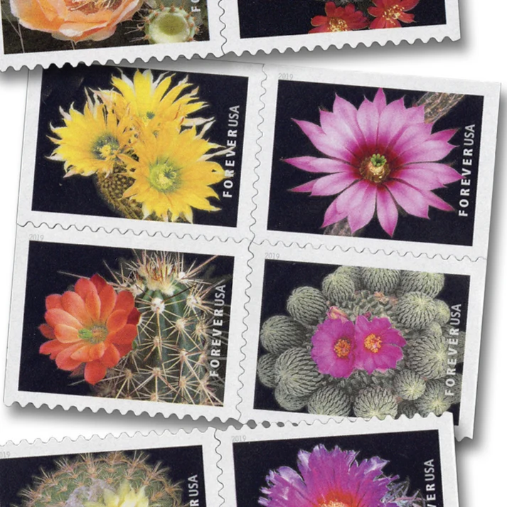 Cactus Flowers 2019 1 - Buy Postage Stamps Online Cactus Flowers 2019