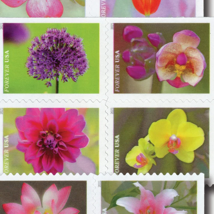 Garden Beauty 2021 1 - Buy Postage Stamps Online Garden Beauty 2021