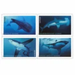 Sharks 2017 2 - Buy Postage Stamps Online Sharks2017 - Buy Postage Stamps Online