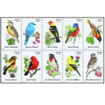 Songbird2014 - Buy Postage Stamps Online