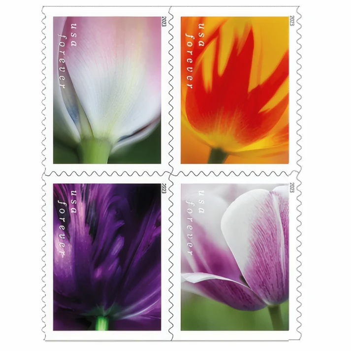 Tulip Blossoms 2023 1 - Buy Postage Stamps Online Tulip Blossoms 2023