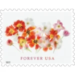 Tulips2022 - Buy Postage Stamps Online