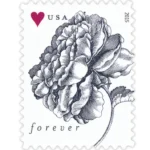 Vintage Rose 2015 2 - Buy Postage Stamps Online VintageRose2015 - Buy Postage Stamps Online