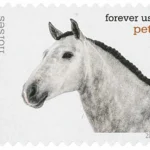 image 1 19 - Buy Postage Stamps Online