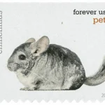 image 10 10 - Buy Postage Stamps Online