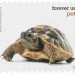 image 12 8 - Buy Postage Stamps Online