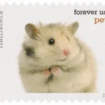 image 14 6 - Buy Postage Stamps Online