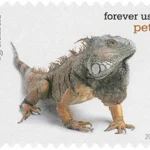 image 15 5 - Buy Postage Stamps Online