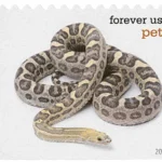 image 17 4 - Buy Postage Stamps Online