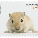 image 3 17 - Buy Postage Stamps Online