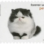image 6 14 - Buy Postage Stamps Online