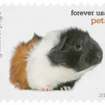 image 7 13 - Buy Postage Stamps Online