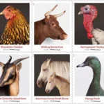 s breeds - Buy Postage Stamps Online