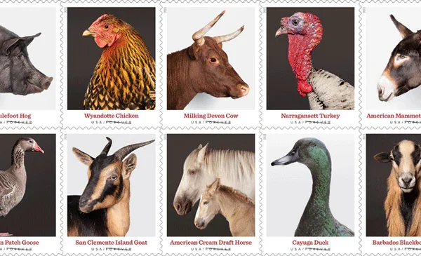 s breeds - Buy Postage Stamps Online