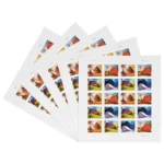 81WaKiYY4pL - Buy Postage Stamps Online